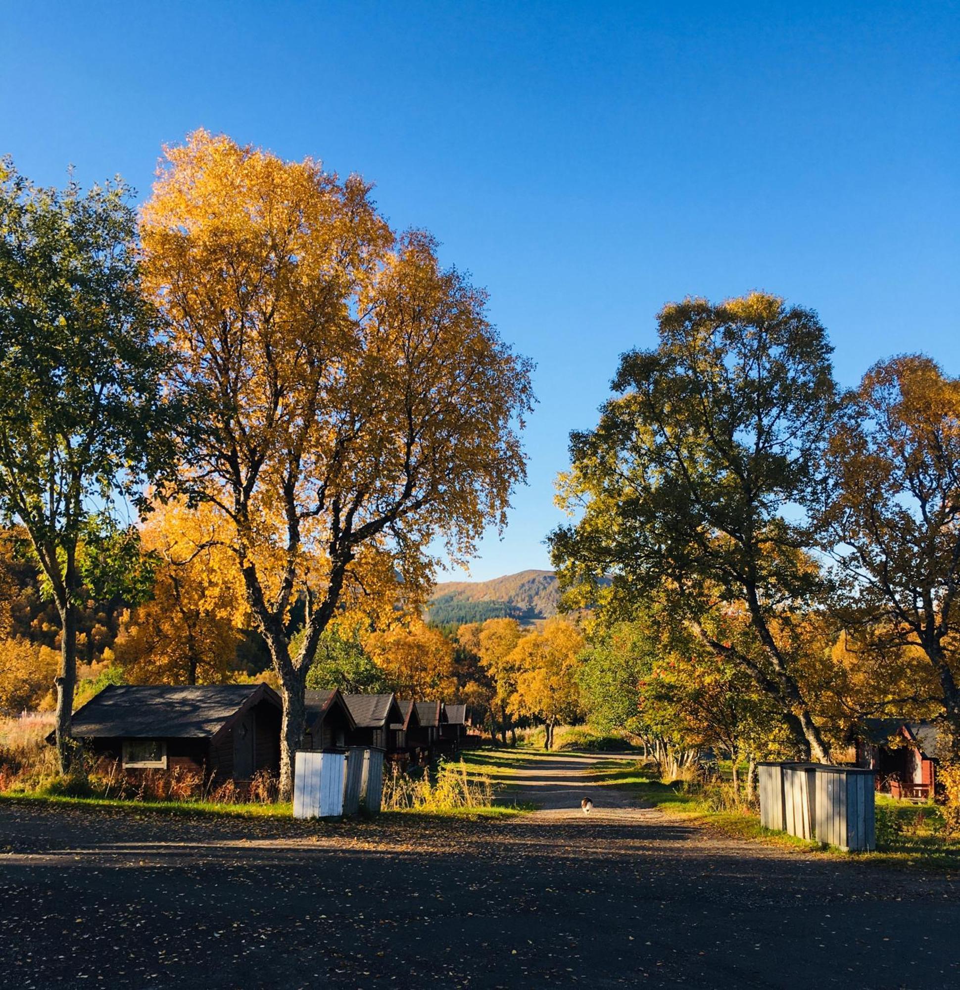 Sortland Camping Og Motell As エクステリア 写真