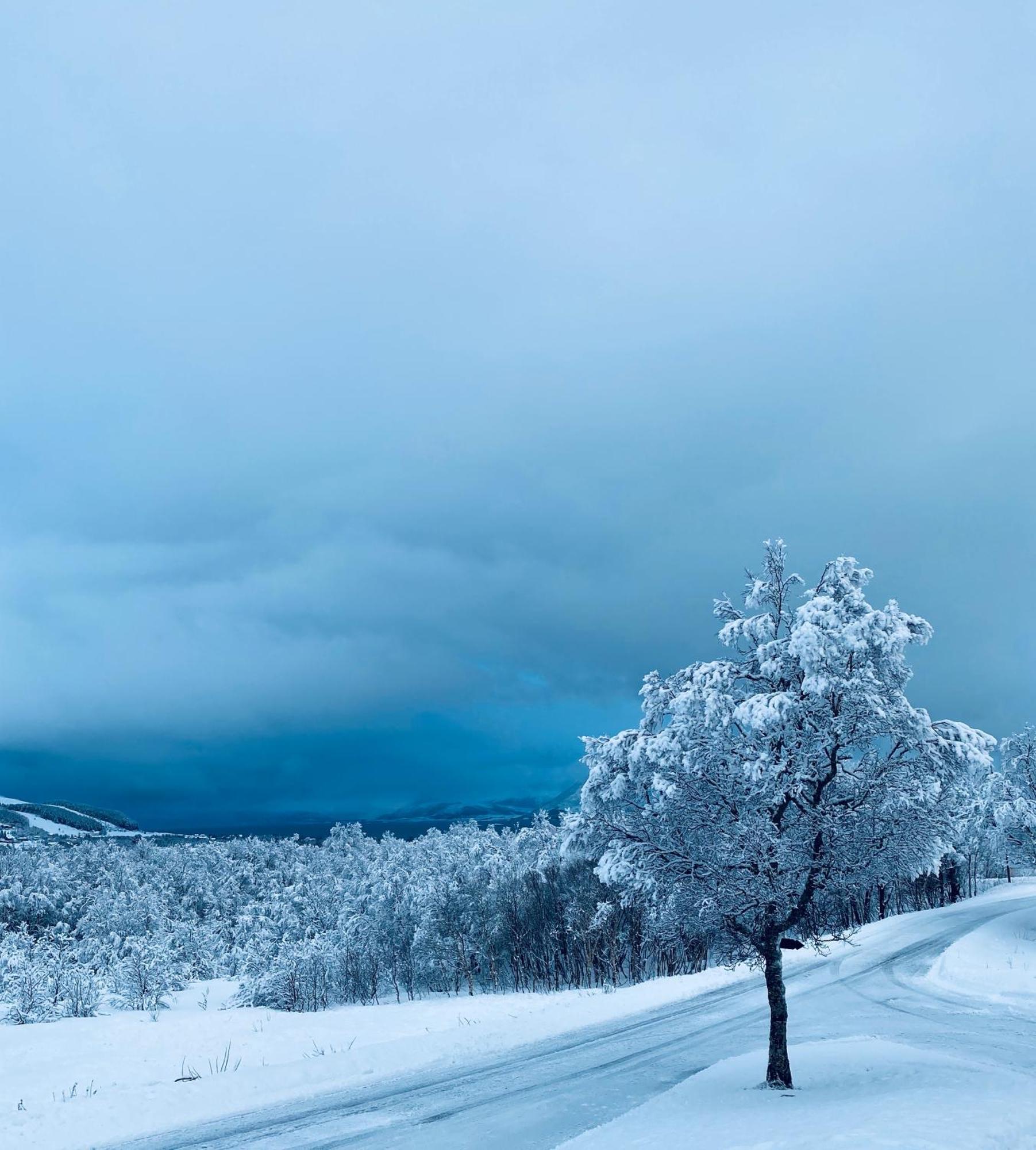 Sortland Camping Og Motell As エクステリア 写真