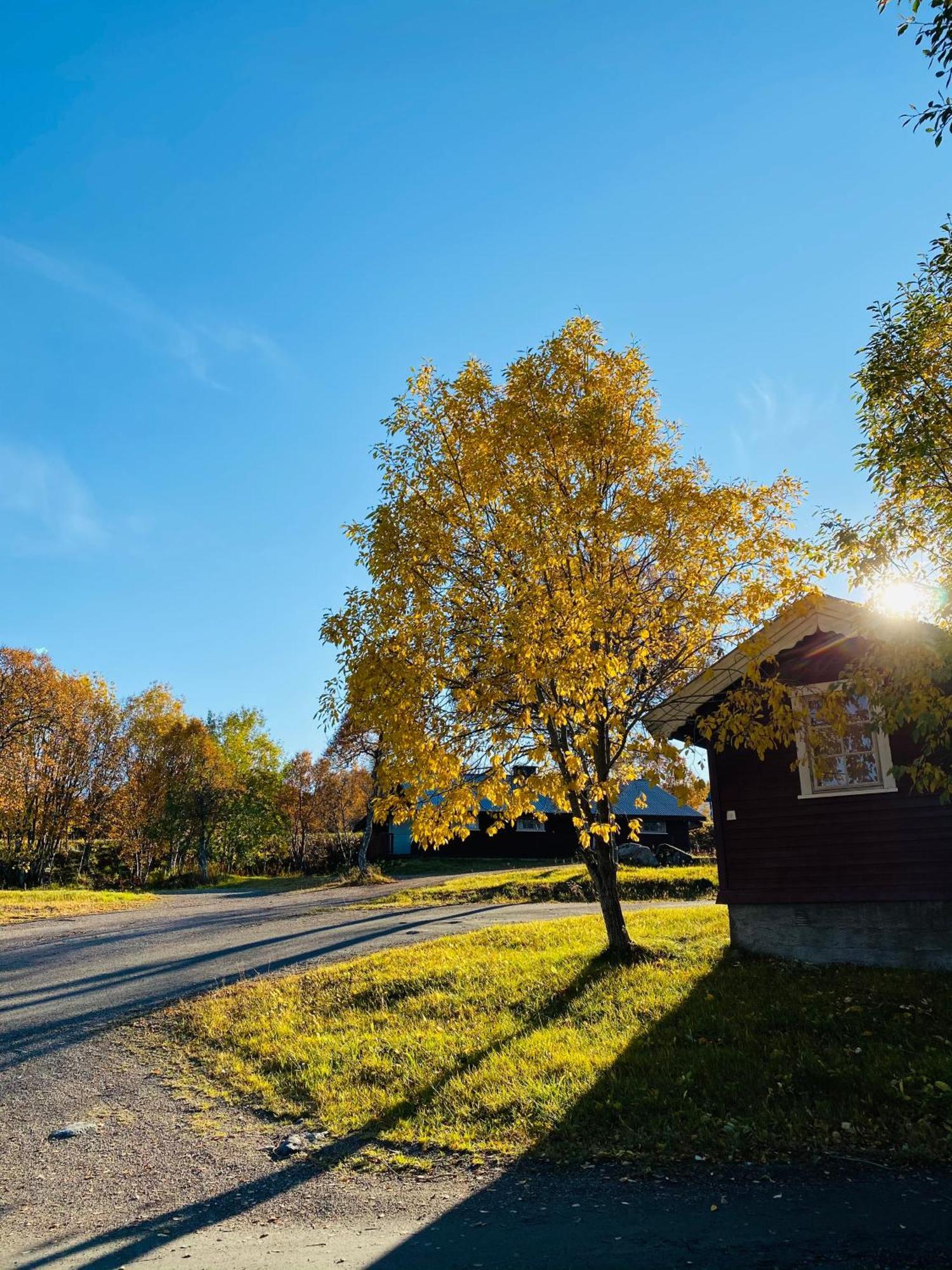 Sortland Camping Og Motell As エクステリア 写真