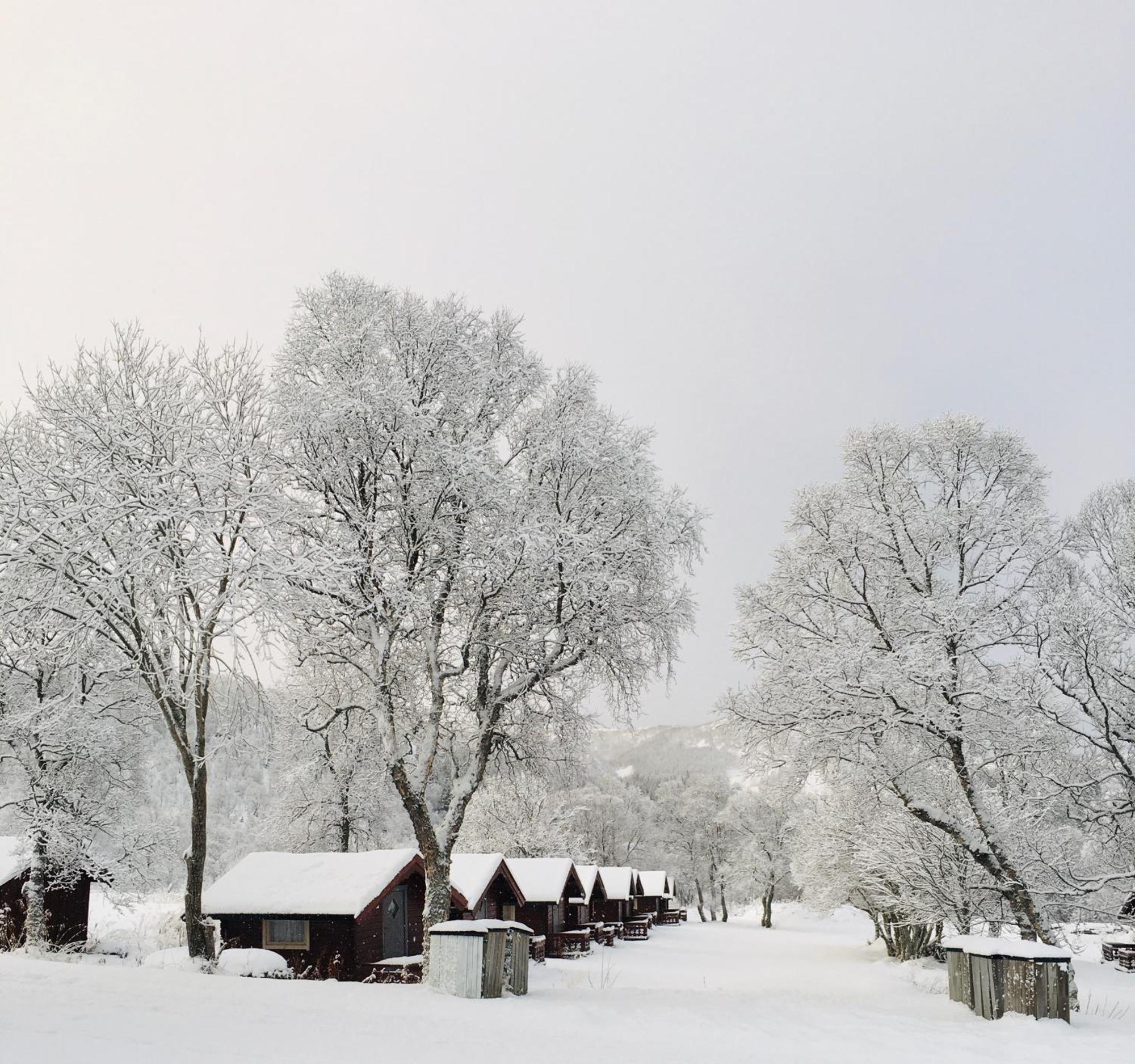 Sortland Camping Og Motell As エクステリア 写真