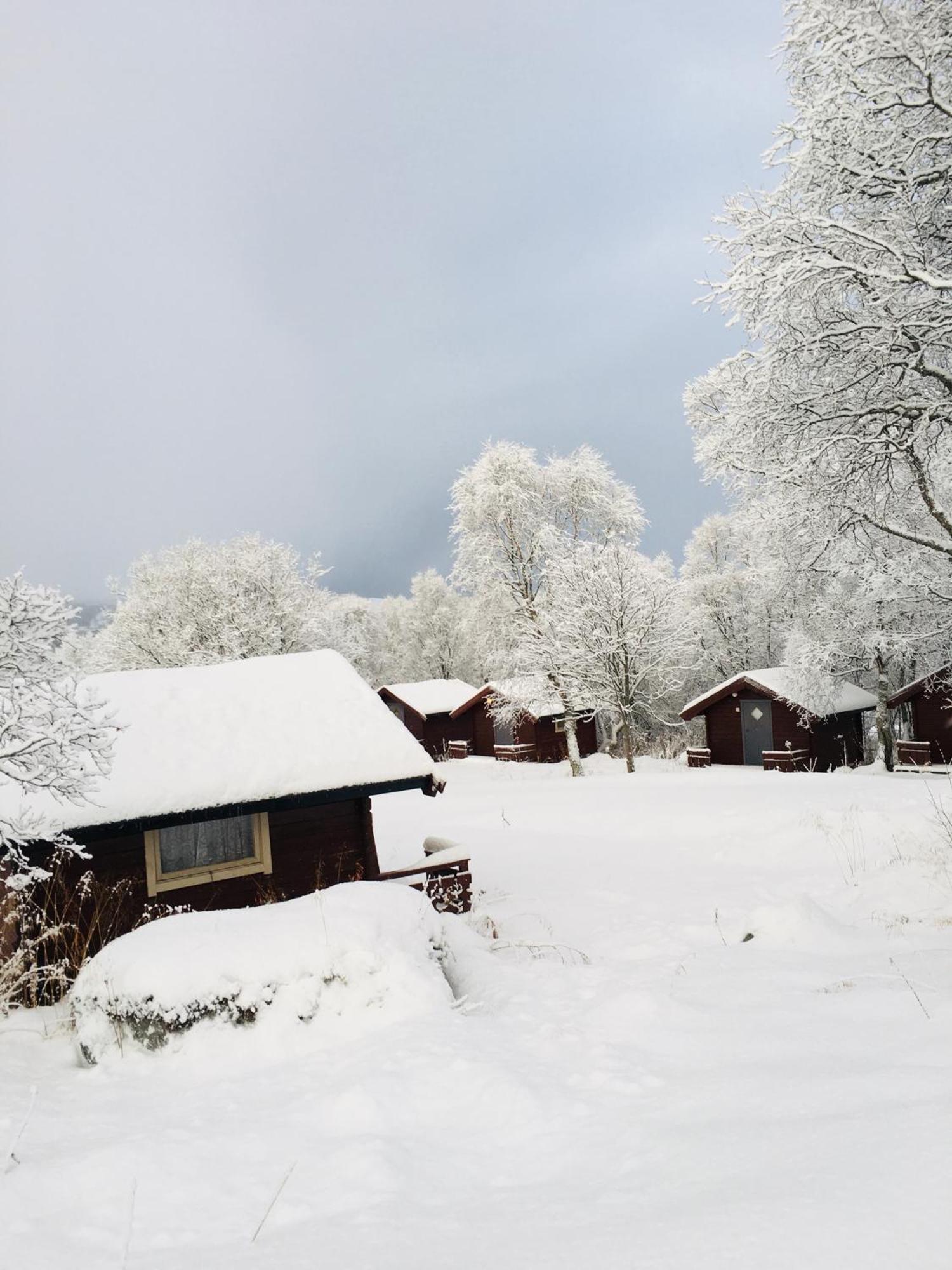 Sortland Camping Og Motell As エクステリア 写真