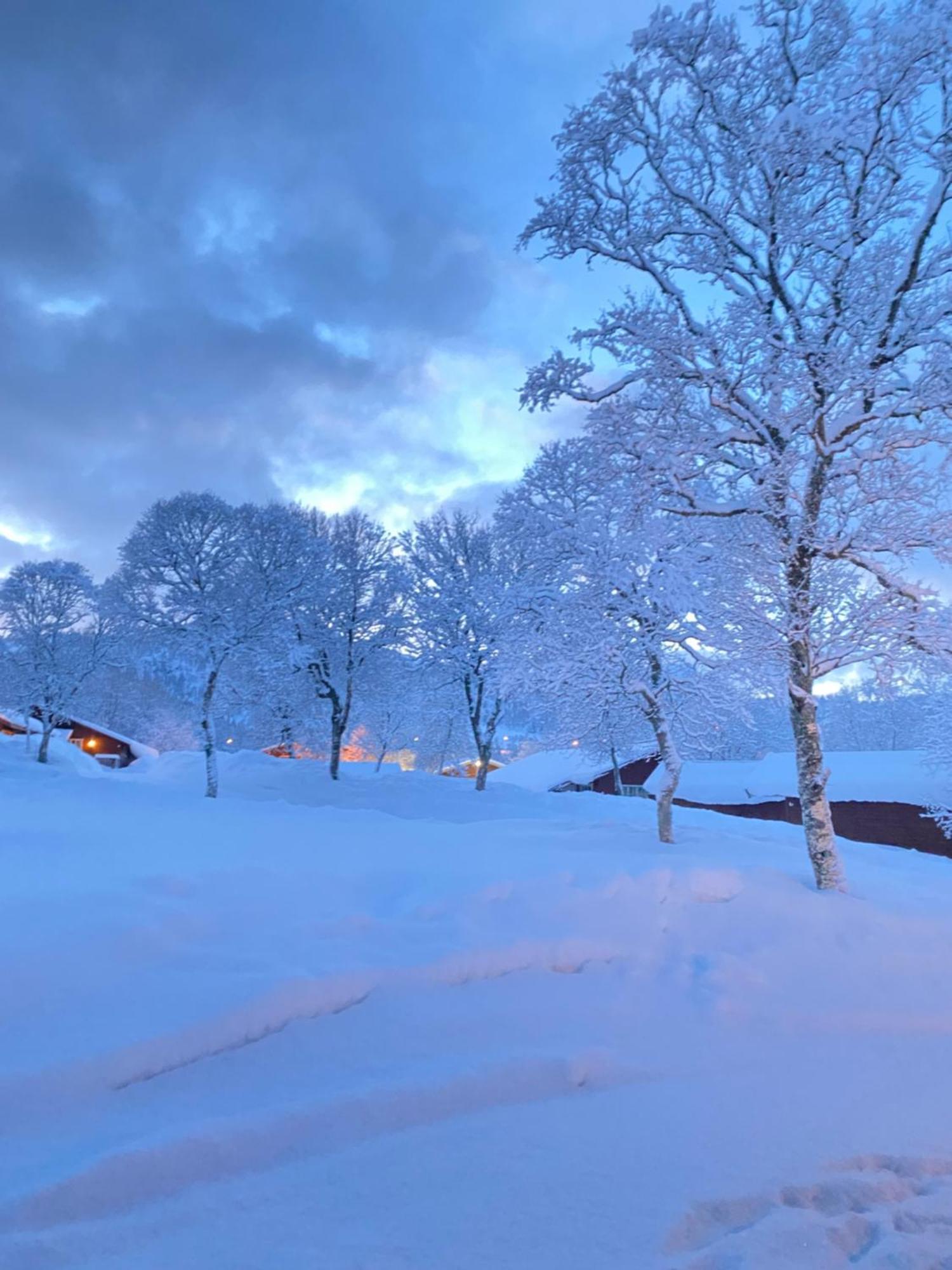 Sortland Camping Og Motell As エクステリア 写真