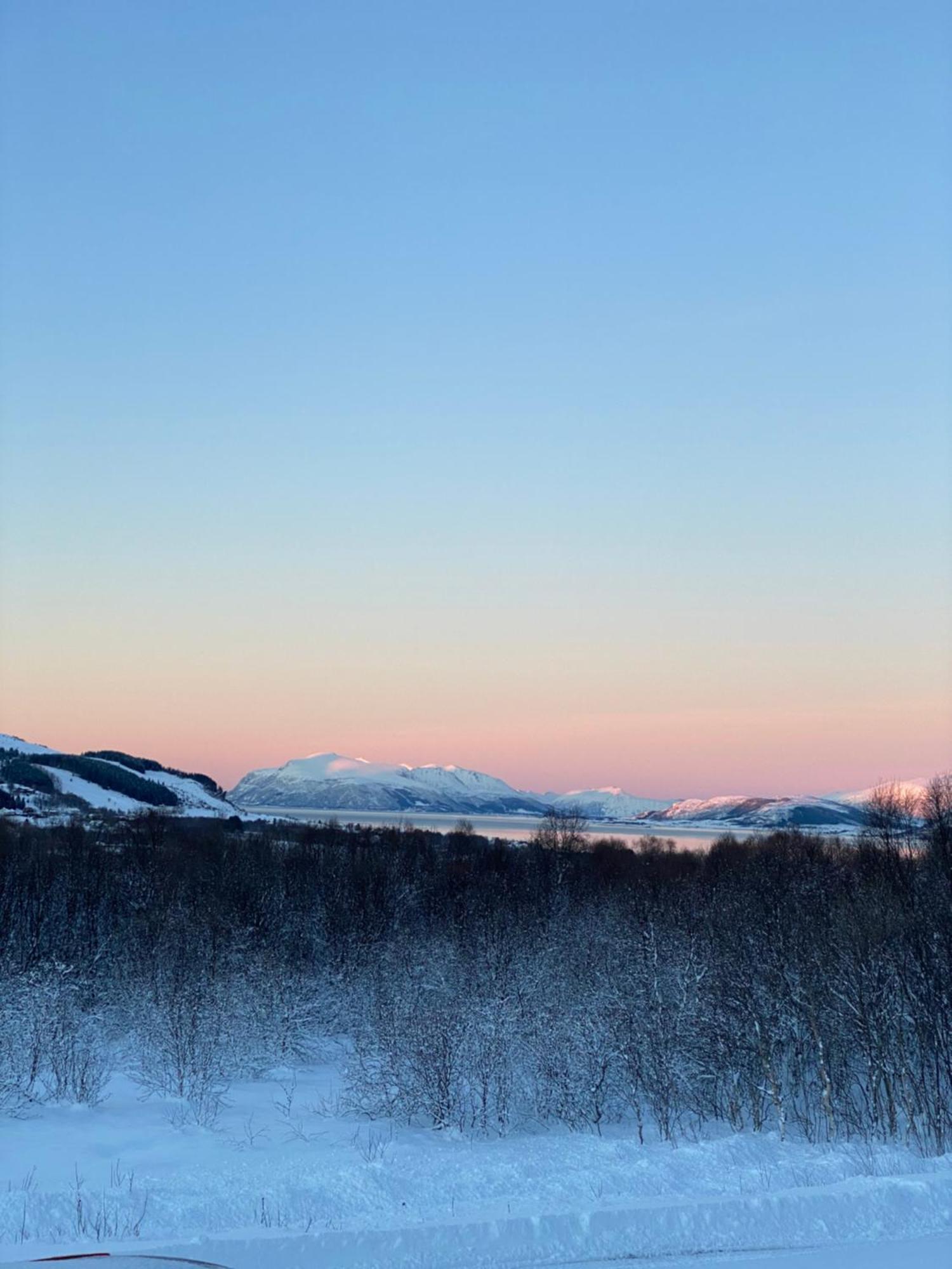 Sortland Camping Og Motell As エクステリア 写真
